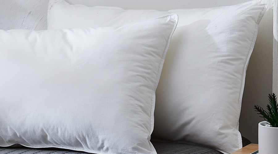 ABVRLEA阿伯利--智选枕