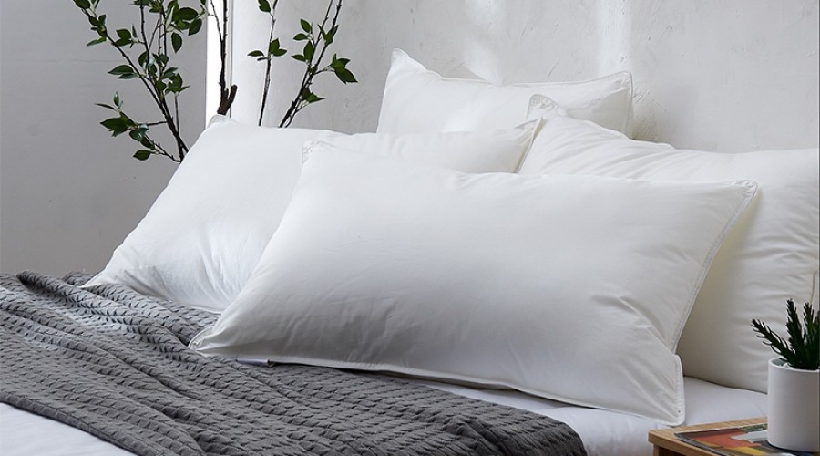 ABVRLEA阿伯利--智选枕